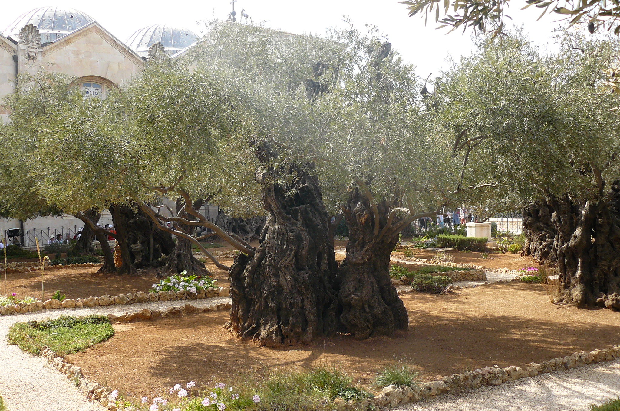 P1060052