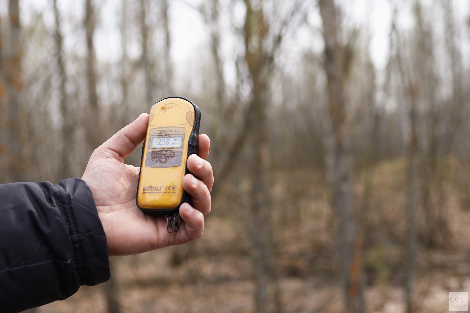 Уровень радиации в лесах возле ЧАЭС. Фото: В.Головин
