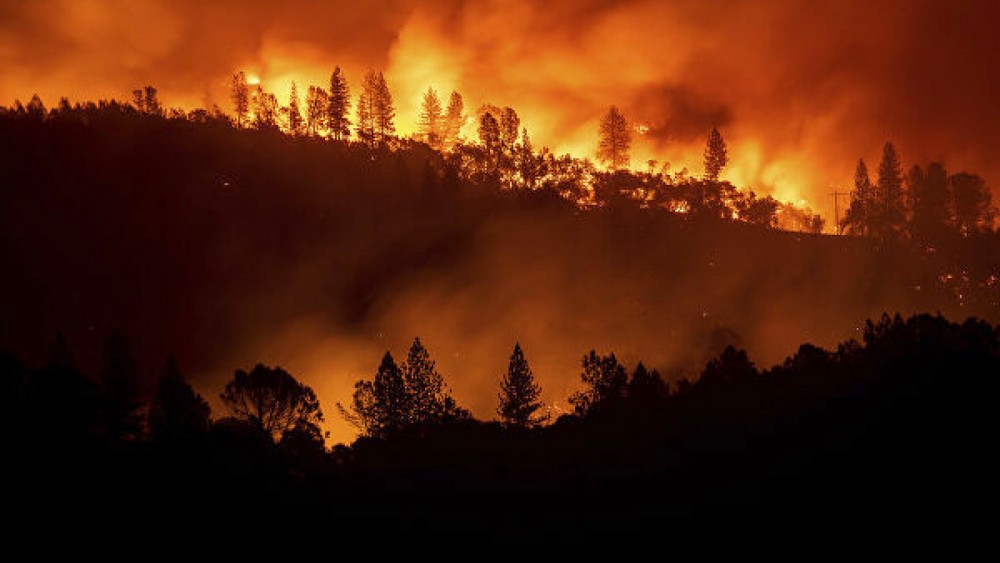 Огненный апокалипсис Австралии: погибли 24 человека и 500 млн. животных (ФОТО) 1
