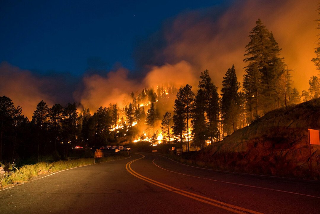 Картинки по запросу картинки  лесные  пожары
