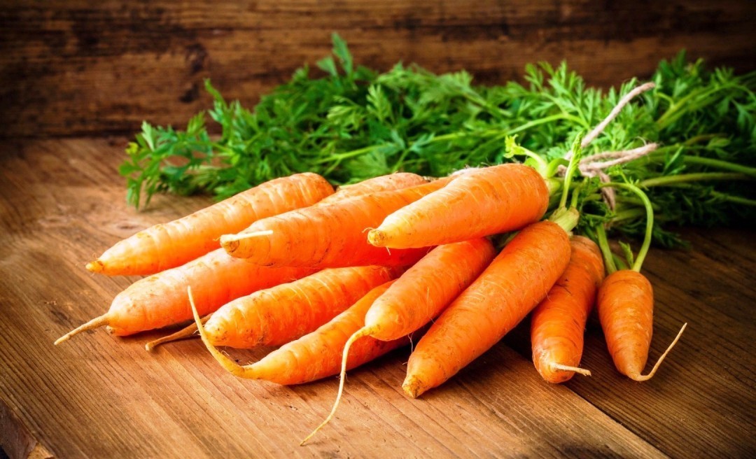 Картинки по запросу "морковь"