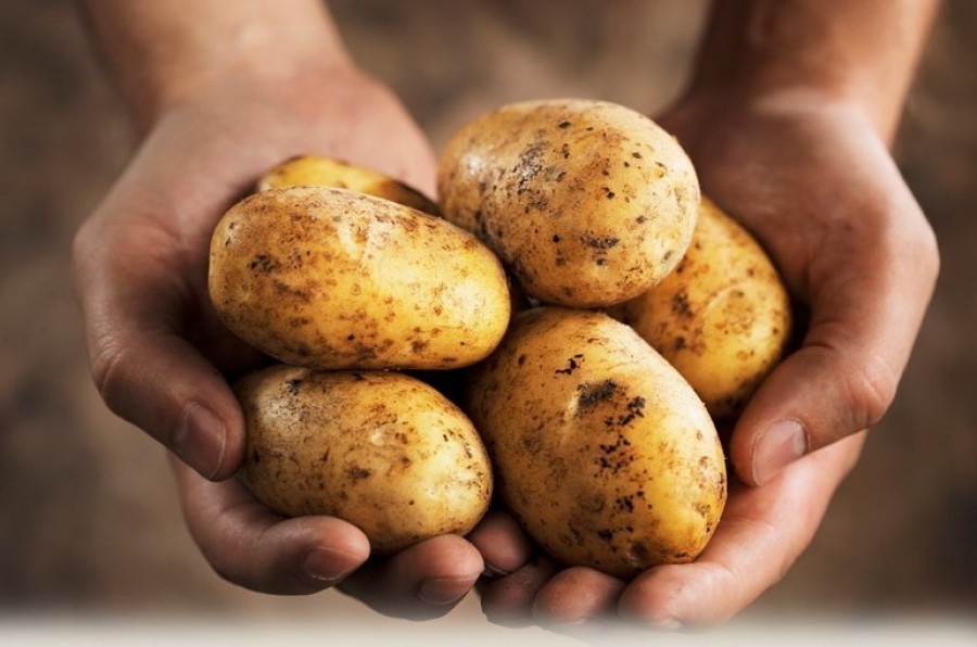 Эксперт рассказал, почему в Украине "взлетели" цены на картофель