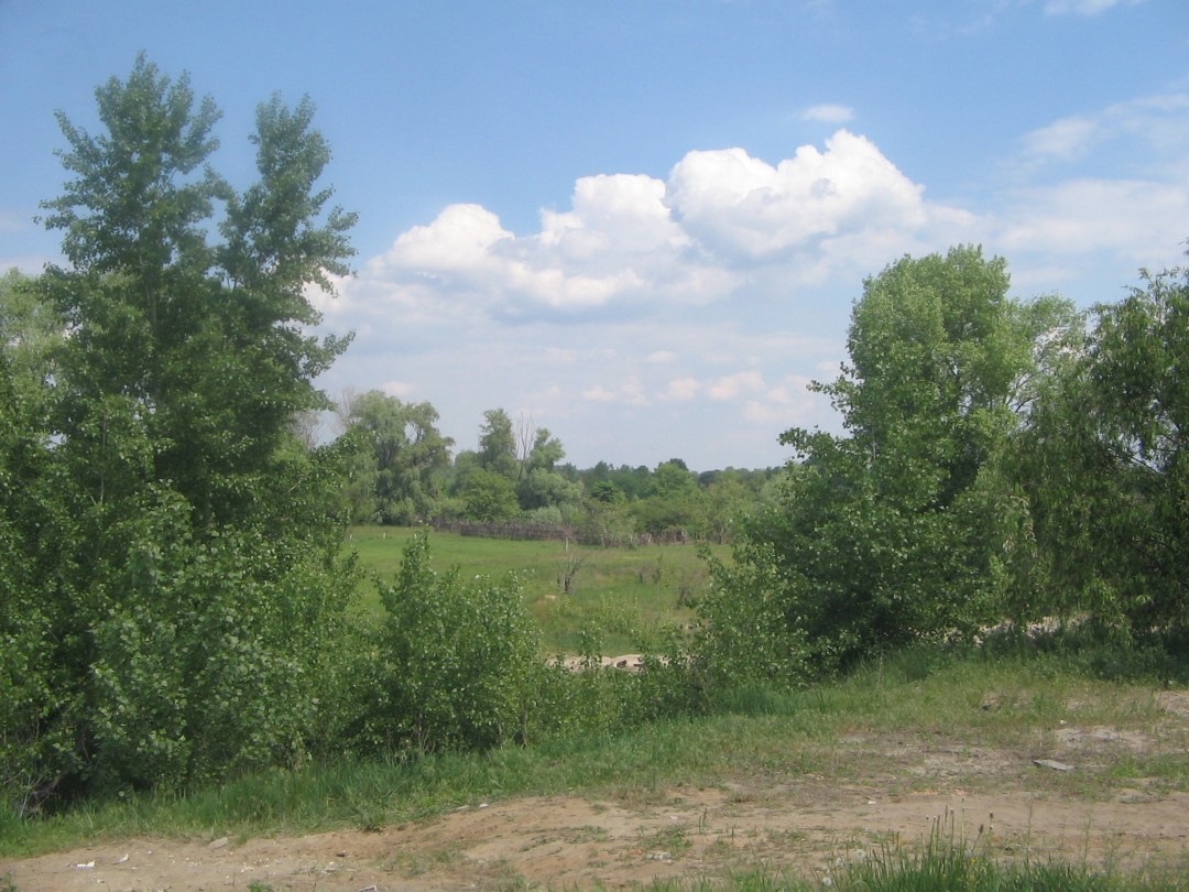 ФГВФЛ в очередной раз попытается продать 113 га на Оболони под застройку