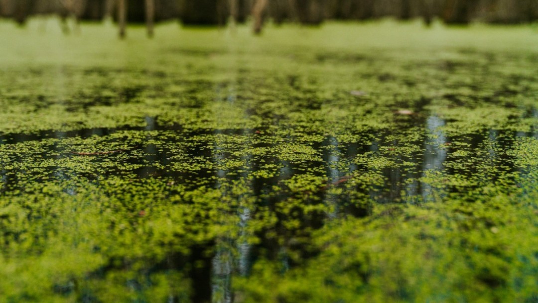 По всей Украине пройдут внеплановые проверки предприятий, которые могут загрязнять воду