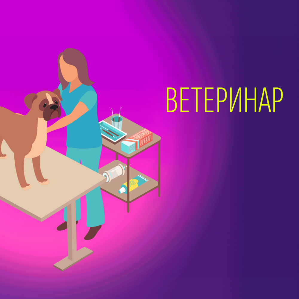 Профессия ветеринар: все о работе специалиста и навыках