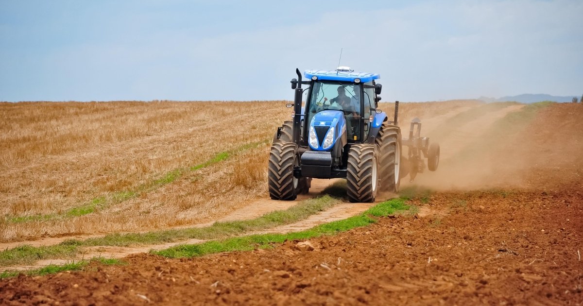 Аграрії завершують весняну посівну: скільки гектарів засіяно