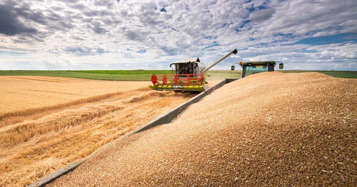 80% українських агрофірм не зможуть отримати субсидії після вступу до ЄС — Соболев