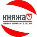 2. Княжа
