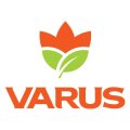 VARUS