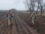 мінери, поле, розмінування, дерева