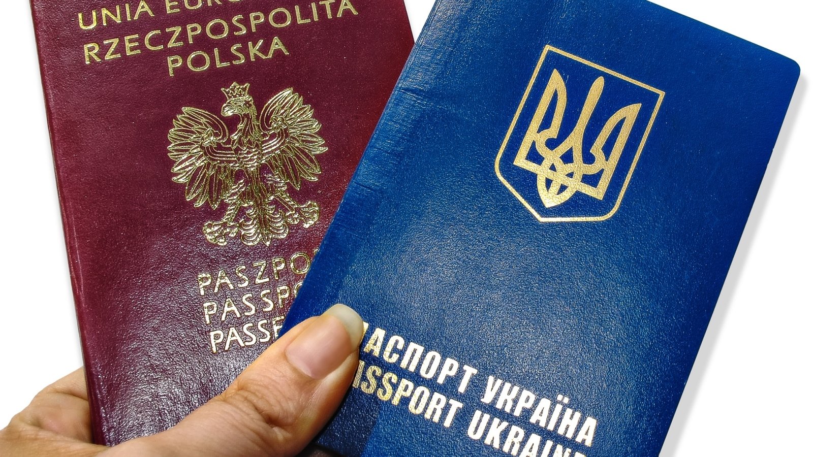 Новый Закон О Гражданстве 2022 Года
