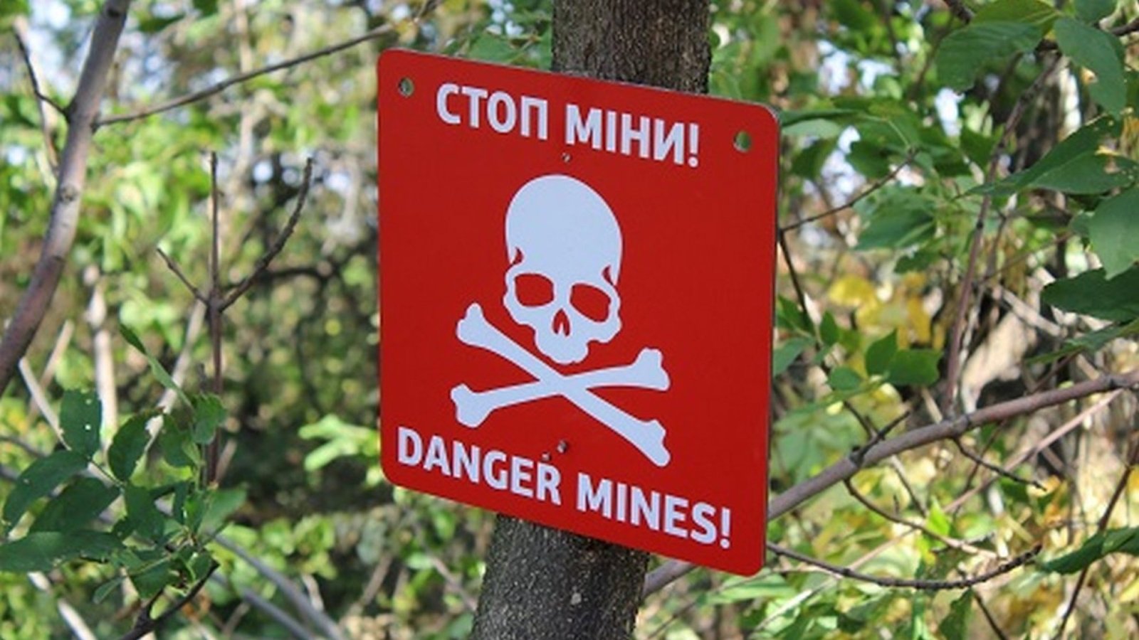 В Сумской области произошло два подрыва на минах: есть один погибший и  раненые — Delo.ua