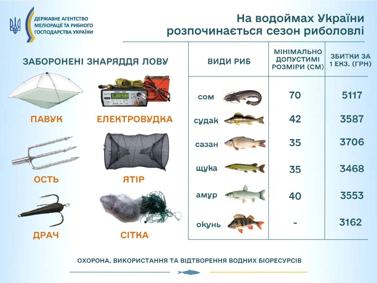 Запреты на рыбалку: периоды, когда нельзя ловить рыбу