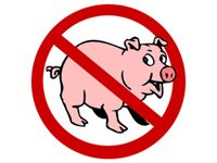 Фото 2 — Глава ВОЗ: Свиной грипп все еще может мутировать