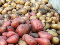 Фото 2 — Какие продукты подорожали в июне