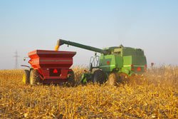 Фото 3 — В Германии в продуктах питания обнаружили украинский диоксин