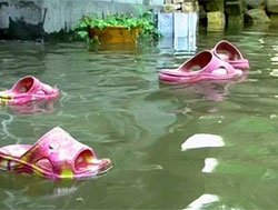 Фото 2 — Страховщики ждут потопа