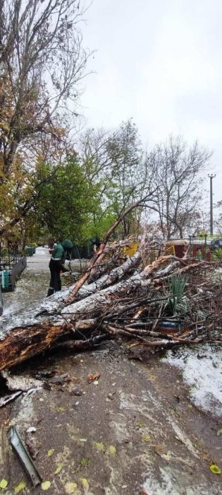 Фото 10 — Из-за непогоды в Украине заработал штаб по ликвидации ЧС на дорогах: самая проблемная - Одесская область (ФОТО)