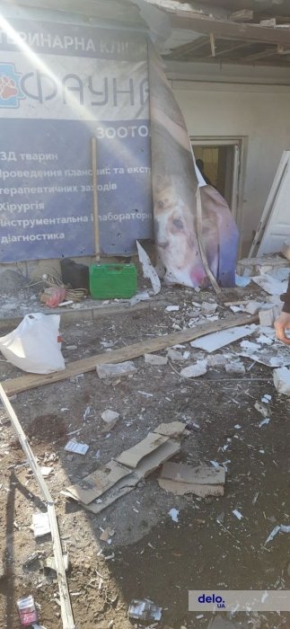 Фото 16 — Маріуполь, Сєверодонецьк, Харків: історії українців, яким пощастило вирватися з охоплених війною міст