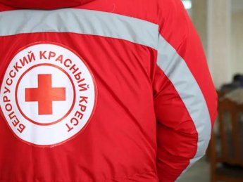 В Украине начали расследование из-за причастности Красного креста Беларуси к депортации детей