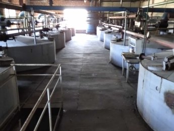 Борщевский спиртзавод