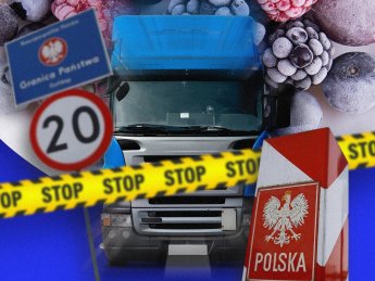 Українські ягоди "заморозили" на польському кордоні: чи є шанси не стояти в черзі