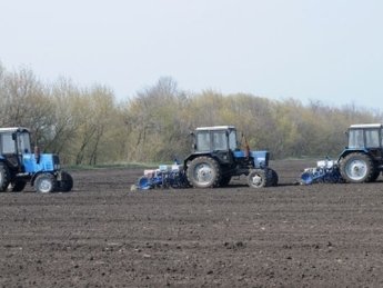 Посівну розпочали вже на всій контрольованій території України: скільки засіяли