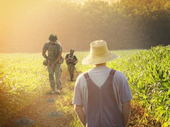 Посівна 2023: Які проблеми та виклики чекають на українських аграріїв на другий рік повномасштабної війни