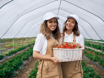 жінки, теплиця