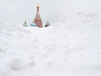 В Москве из-за непогоды начался деревопад