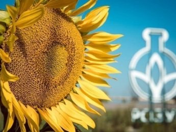 Продажа урожая на 7% дороже и качественные СЗР на сезон — новая программа ALFA Smart Agro