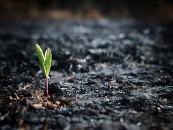 экологический ущерб