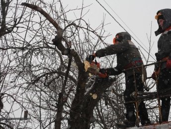 энергетики