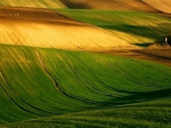 "Кернел" сократил продажи зерна на 21,8%