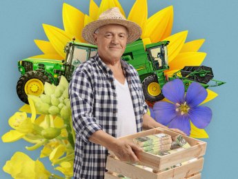 Як на глобальний ринок впливатиме зменшення в Україні посівних площ під зерновими. Кавер до тексту: Олексій Левченко / Delo.ua