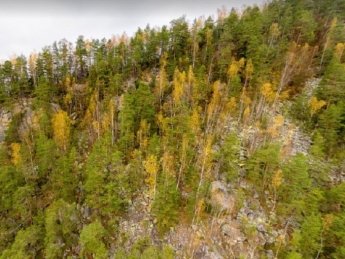 Скалы Довбуша. Фото: Google Maps