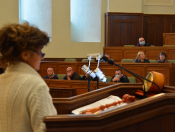 В Волынском облсовете провели первый янтарный аукцион. Фото: пресс-служба облсовета