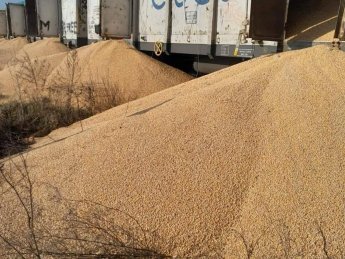 На железнодорожной станции в Польше неизвестные высыпали 160 тонн украинского зерна