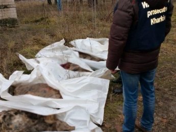 На Харківщині ексгумовано тіла п’ятьох осіб, які загинули внаслідок російського авіаудару