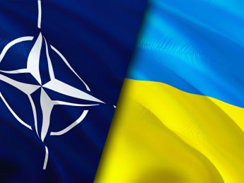 Президенты девяти стран-членов НАТО поддержали вступление Украины в альянс