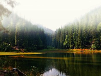 Минсреды без конкурса назначает в Карпатский природный парк коррумпированного директора – СМИ