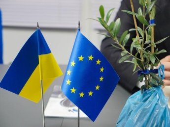 прапор України, прапор ЄС, саджанці оливи