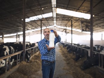 ферма, бутылка с молоком, мужчина, коровы