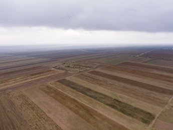 аукціон, земля