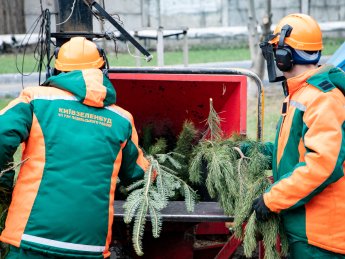 У Києві відкриють пункти утилізації ялинок за 17 адресами