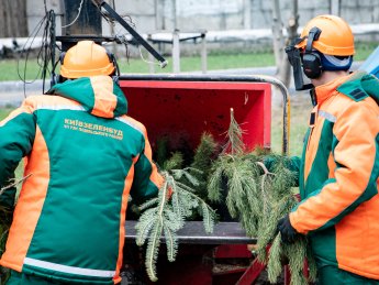В Киеве откроют пункты утилизации елок по 17 адресам