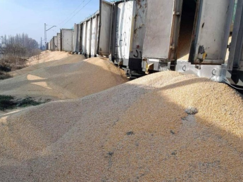 У ЄС через протести фермерів посилять перевірку за експортом українського зерна