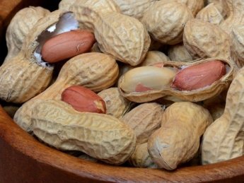 На Одещині виявили партію отруйного арахісу з Єгипту