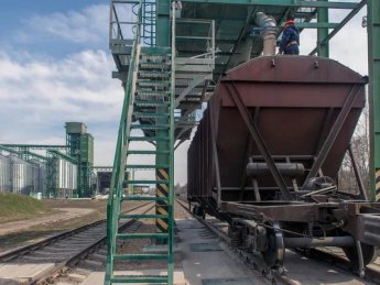 Перевозка жмыха и шрота возросла