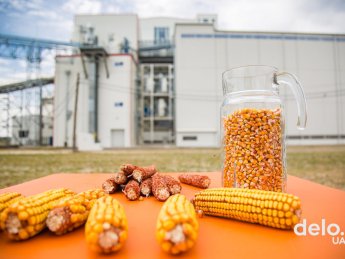 Фото: Эмма Солдатова